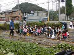 さつま芋収穫祭１１