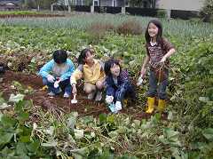 さつま芋収穫祭１４